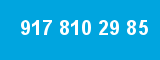 917 810 29 85
